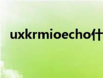 uxkrmioecho什么意思（echo什么意思）