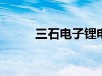 三石电子锂电充电器48v（三石）