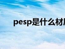 pesp是什么材质（PES代表什么材料）