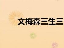 文梅森三生三世十里桃花（文梅森）