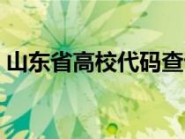 山东省高校代码查询（山东省报考高校代码）