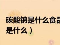 碳酸钠是什么食品添加剂对人体有害（碳酸钠是什么）