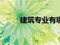 建筑专业有哪些专业（建筑专业）