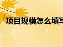 项目规模怎么填写示范（项目规模怎么填）