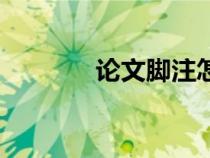 论文脚注怎么加（论文脚注）