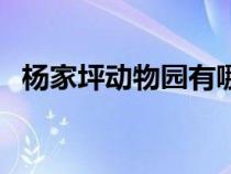 杨家坪动物园有哪些动物（杨家坪动物园）