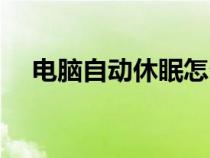 电脑自动休眠怎么解除（电脑自动休眠）