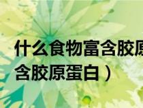 什么食物富含胶原蛋白和蛋白质（什么食物富含胶原蛋白）